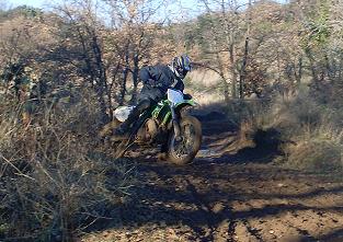 gallery_7467_16_66108.jpg
