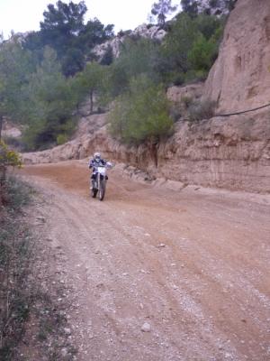 gallery_7718_23_108747.jpg