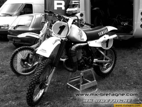 gallery_4131_7_13539.jpg